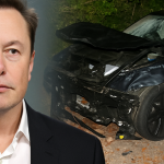 Elon Crash